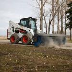   Bobcat